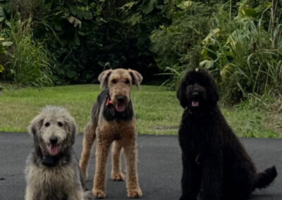 L to R Athena, Zeus & Lilith